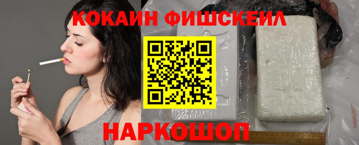 Cocaine Fish Scale  купить наркоту  Реутов  Вход с VPN 