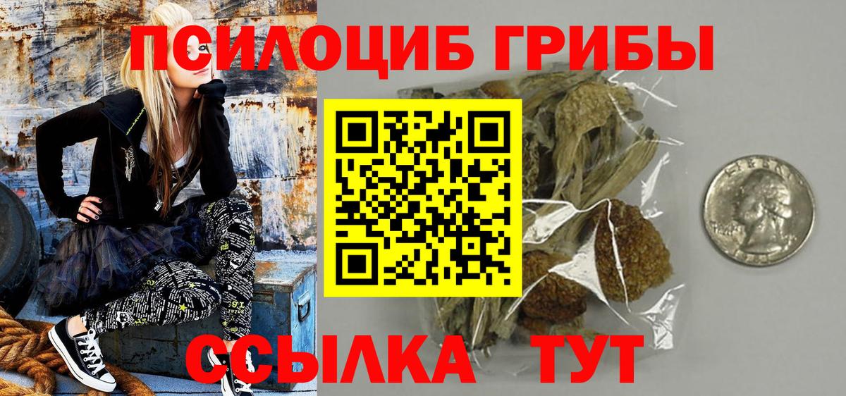 Галлюциногенные грибы Psilocybine cubensis  Псилоцибиновые грибы MAGIC MUSHROOMS  Реутов  Вход с VPN 