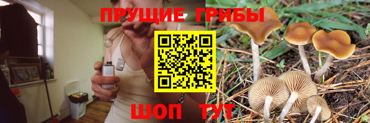 Галлюциногенные грибы Magic Shrooms Реутов
